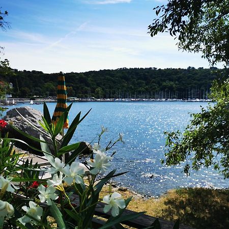 Krasen Kras 104 Resort Komen Dış mekan fotoğraf