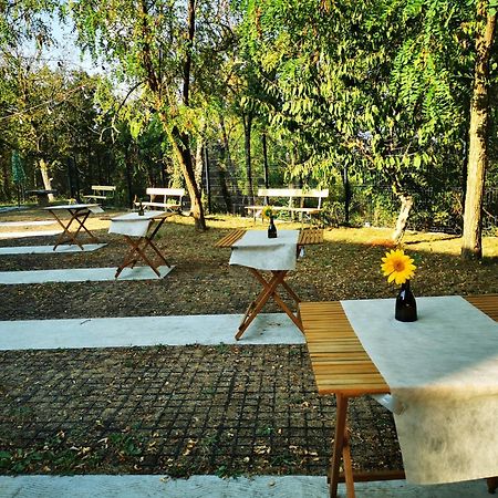 Krasen Kras 104 Resort Komen Dış mekan fotoğraf