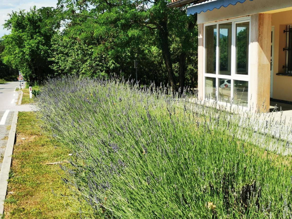 Krasen Kras 104 Resort Komen Dış mekan fotoğraf